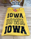 IOWA DESIGNS