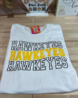IOWA DESIGNS
