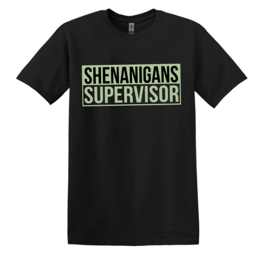 SHENANIGANS SUPERVISOR