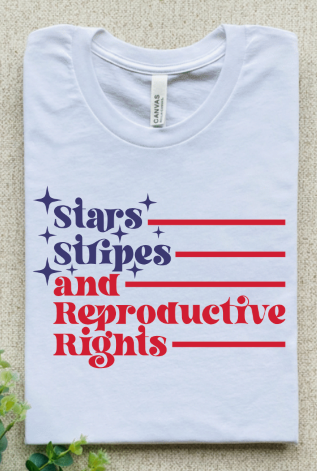 STARS STRIPES AND REPRODUCTIVE RIGHTS