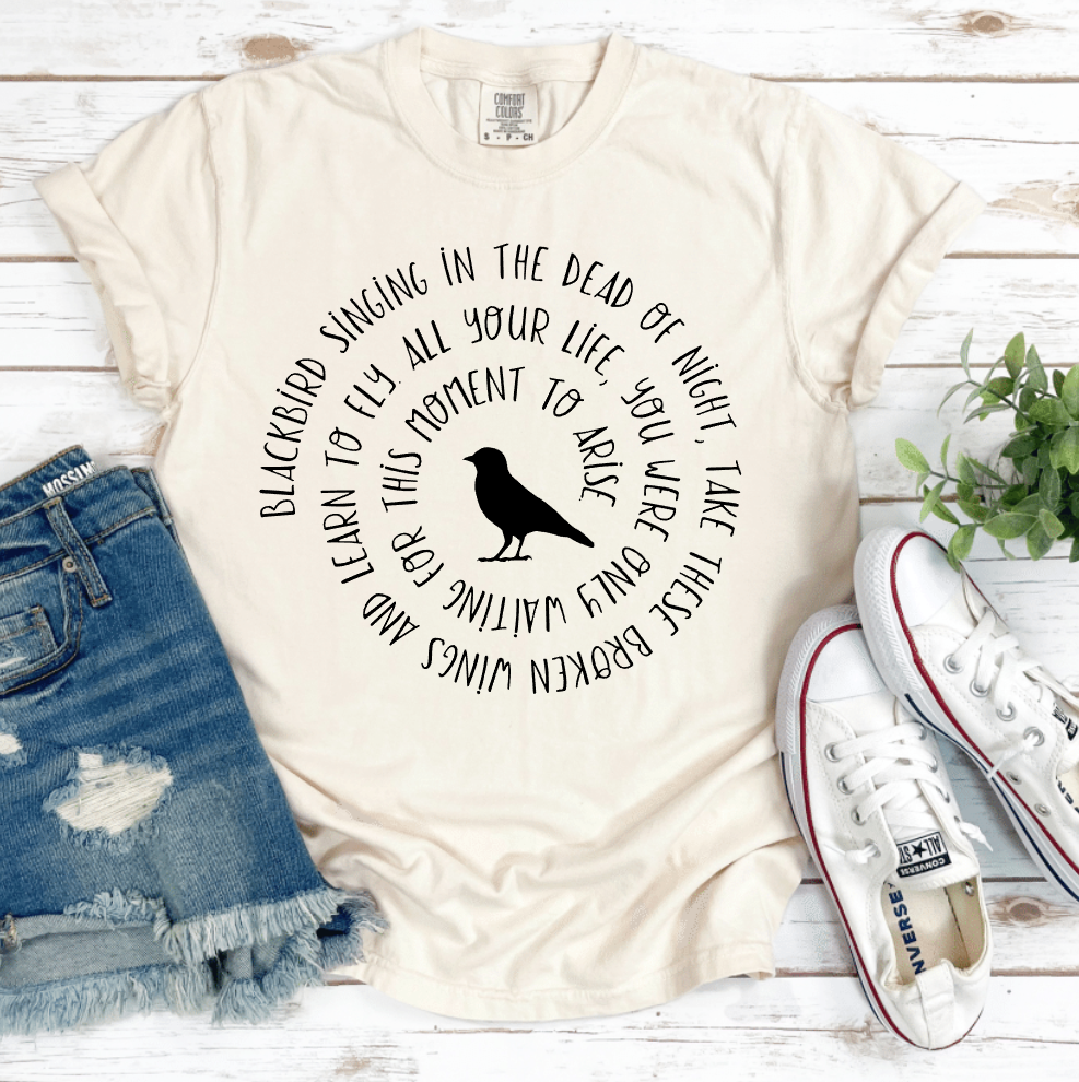BLACK BIRD SPIRAL SONG LYRIC