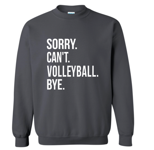 SORRY. CAN'T. VOLLEYBALL. BYE.